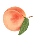 Peach Please asset 3
